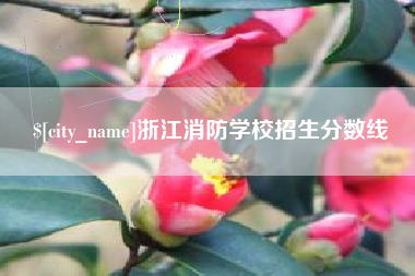霍邱浙江消防学校招生分数线