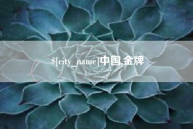 霍邱中国,金牌