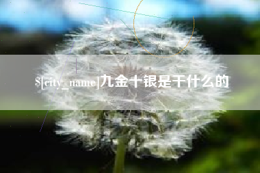 霍邱九金十银是干什么的