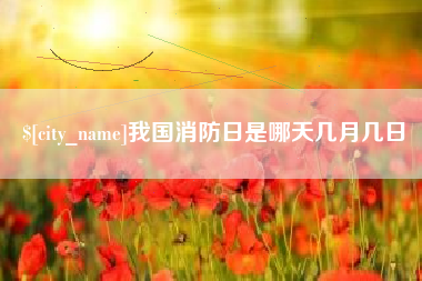 霍邱我国消防日是哪天几月几日