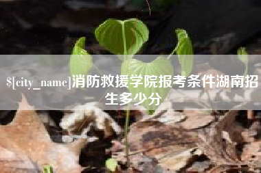 霍邱消防救援学院报考条件湖南招生多少分