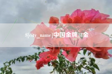 霍邱中国金牌18金