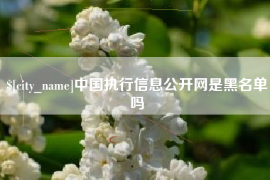霍邱中国执行信息公开网是黑名单吗