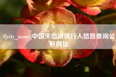 霍邱中国失信被执行人信息查询公开网址