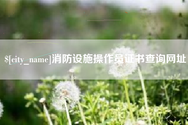 霍邱消防设施操作员证书查询网址