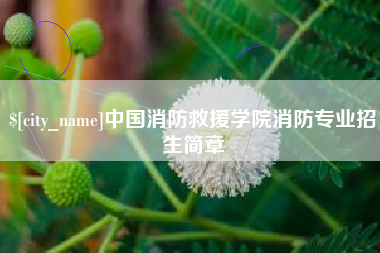 霍邱中国消防救援学院消防专业招生简章