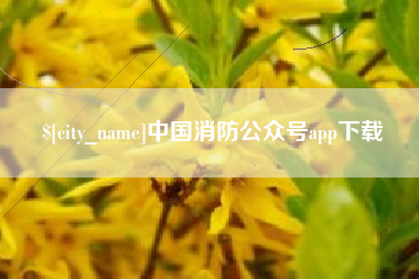 霍邱中国消防公众号app下载