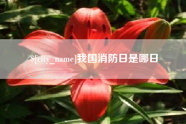 霍邱我国消防日是哪日
