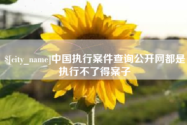 霍邱中国执行案件查询公开网都是执行不了得案子