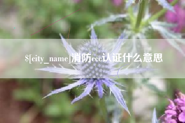 霍邱消防ccc认证什么意思