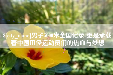 霍邱男子5000米全国记录-更是承载着中国田径运动员们的热血与梦想
