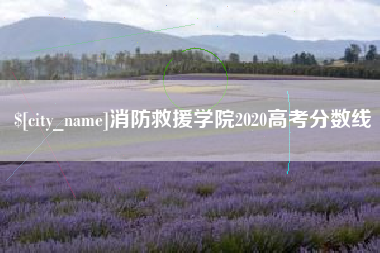 霍邱消防救援学院2020高考分数线