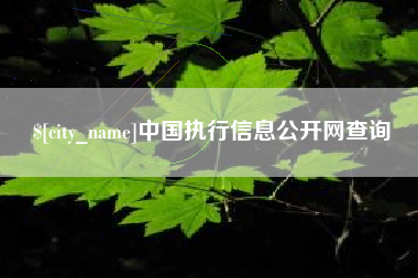 霍邱中国执行信息公开网查询