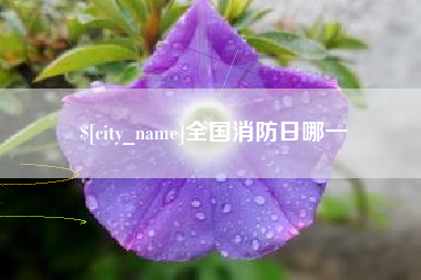 霍邱全国消防日哪一