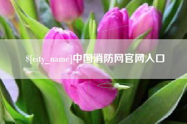霍邱中国消防网官网入口