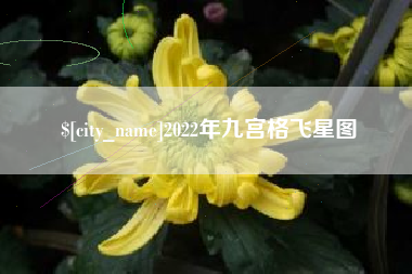 霍邱2022年九宫格飞星图