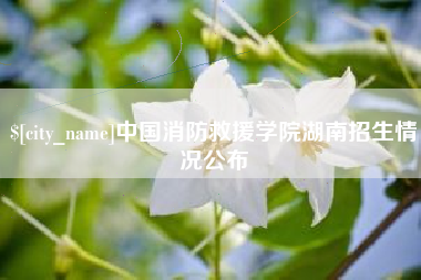 霍邱中国消防救援学院湖南招生情况公布