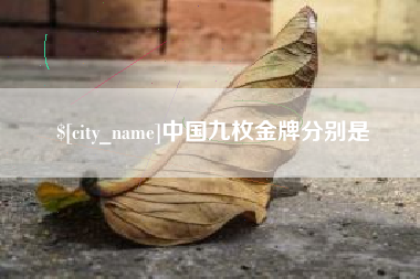 霍邱中国九枚金牌分别是
