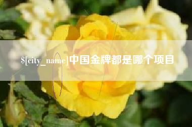 霍邱中国金牌都是哪个项目