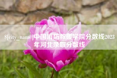 霍邱中国消防救援学院分数线2023年河北录取分数线