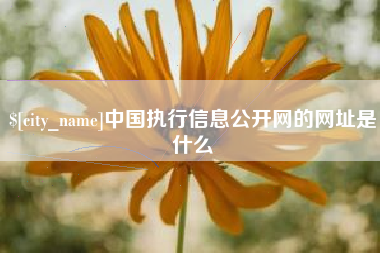 霍邱中国执行信息公开网的网址是什么