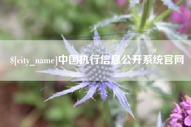 霍邱中国执行信息公开系统官网