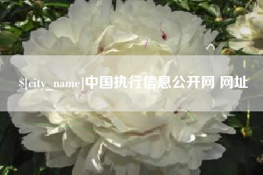 霍邱中国执行信息公开网 网址