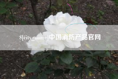霍邱中国消防产品官网