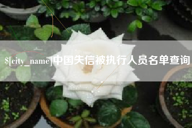 霍邱中国失信被执行人员名单查询
