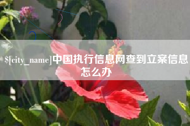 霍邱中国执行信息网查到立案信息怎么办