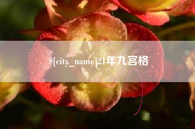 霍邱21年九宫格