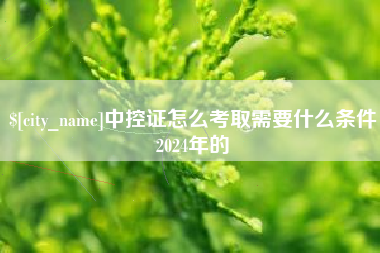 霍邱中控证怎么考取需要什么条件2024年的