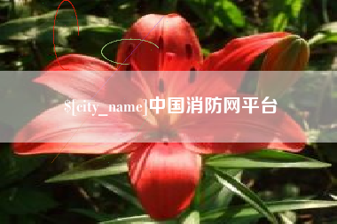 霍邱中国消防网平台