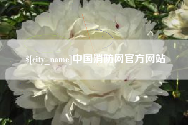 霍邱中国消防网官方网站