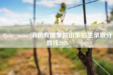 霍邱消防救援学院山东招生录取分数线2020