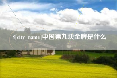 霍邱中国第九块金牌是什么