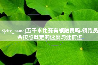 霍邱五千米比赛有领跑员吗-领跑员会按照既定的速度匀速前进