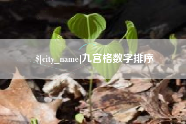 霍邱九宫格数字排序
