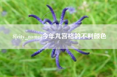 霍邱今年九宫格的不利颜色