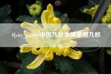 霍邱中国九枚金牌是哪九枚