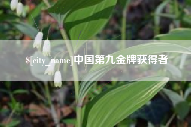 霍邱中国第九金牌获得者
