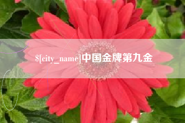 霍邱中国金牌第九金