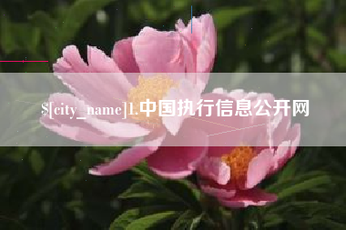 霍邱1.中国执行信息公开网