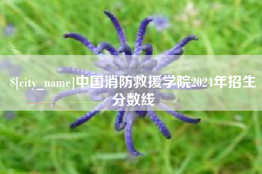 霍邱中国消防救援学院2024年招生分数线