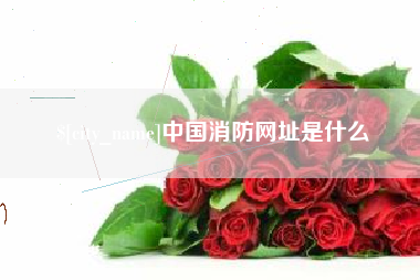 霍邱中国消防网址是什么
