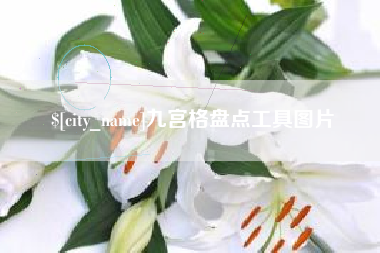 霍邱九宫格盘点工具图片