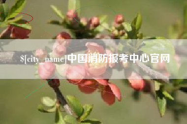 霍邱中国消防报考中心官网