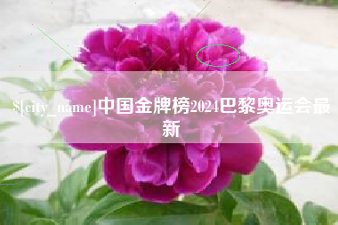 霍邱中国金牌榜2024巴黎奥运会最新