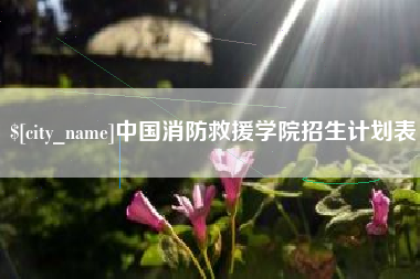 霍邱中国消防救援学院招生计划表