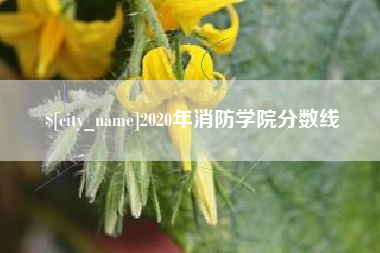 霍邱2020年消防学院分数线